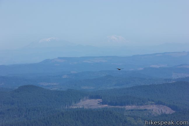 Saddle Mountain View Mount Saint Helens