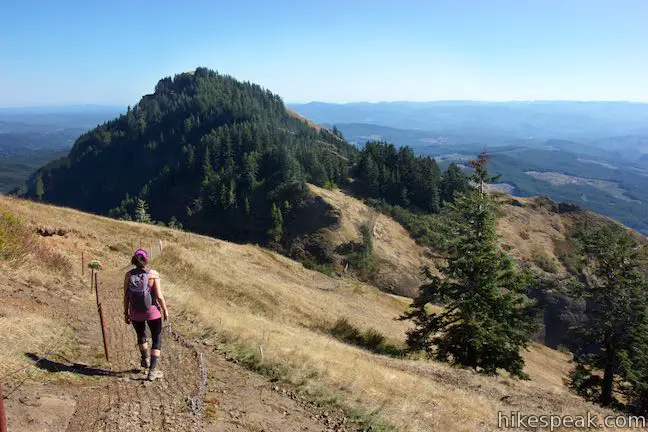 Saddle Mountain View Mount Saint Helens