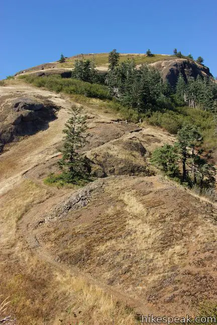 Saddle Mountain Summit Trail