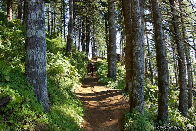 Saddle Mountain Trail