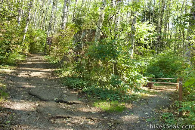 Saddle Mountain Summit Trail