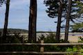 Whalen Island Loop Trail Viewpoint