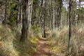 Whalen Island Loop Trail