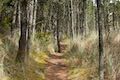 Whalen Island Loop Trail