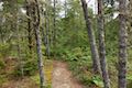 Whalen Island Loop Trail