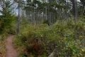 Whalen Island Loop Trail