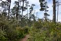 Whalen Island Loop Trail