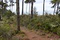 Whalen Island Loop Trail