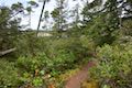 Whalen Island Loop Trail