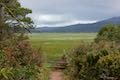 Whalen Island Loop Trail