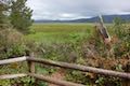 Whalen Island Loop Trail Viewpoint