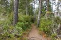 Whalen Island Loop Trail