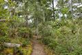 Whalen Island Loop Trail