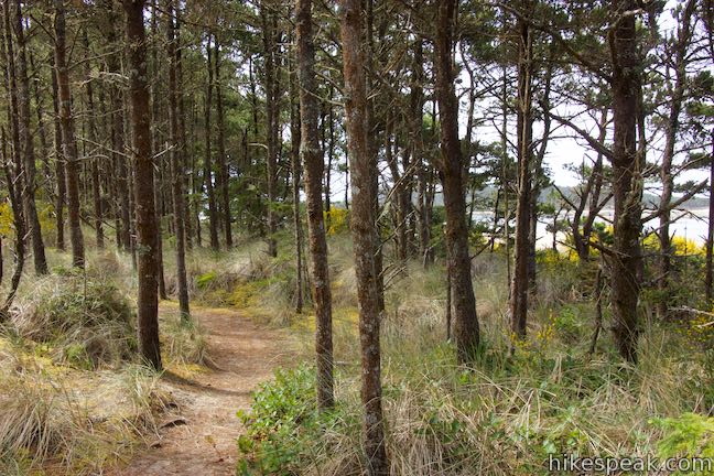 Whalen Island Loop Trail Oregon