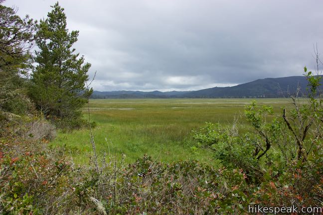 Whalen Island Loop Trail Oregon