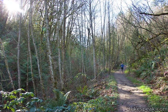 Alder Trail Forest Park