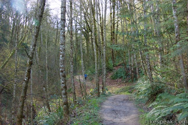 Alder Trail Forest Park