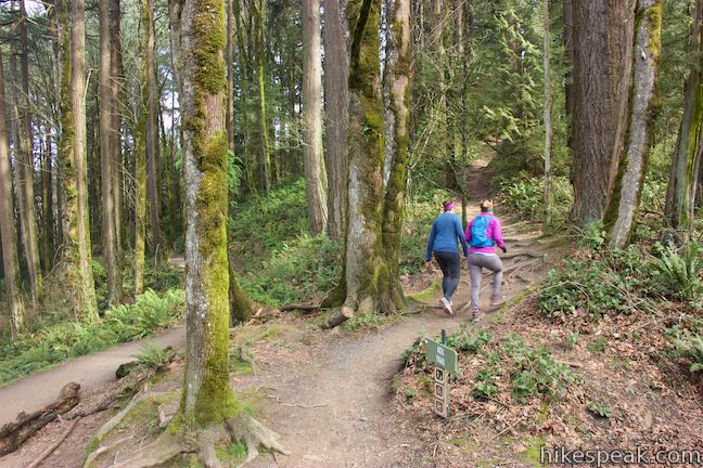 Keil Trail Forest Park