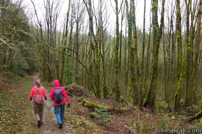 Holman Lane Hike Forest Park