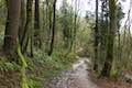 Holman Lane Wildwood Trail Hike