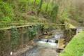 Balch Creek Forest Park