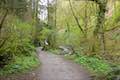 Lower Macleay Trail Forest Park