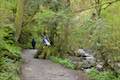 Lower Macleay Trail Forest Park