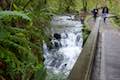 Balch Creek Cascade Forest Park