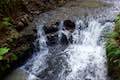 Balch Creek Cascade Forest Park