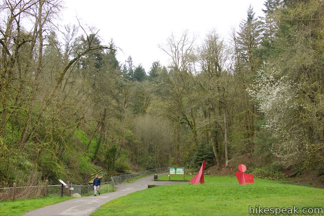 Lower_Macleay_Trail_Forest_Park_Hike_Portland_OR_4616