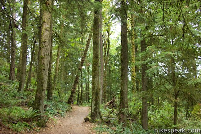 Upper Macleay Trail