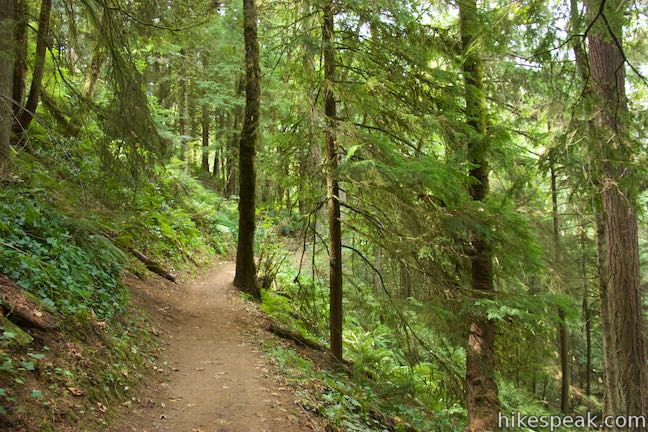 Upper Macleay Trail Forest Park