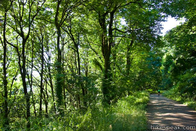 Leif Erikson Drive Forest Park