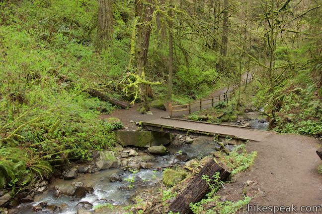 Wildwood Trail Balch Creek