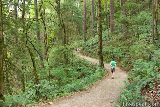 Forest Park Wildwood Trail