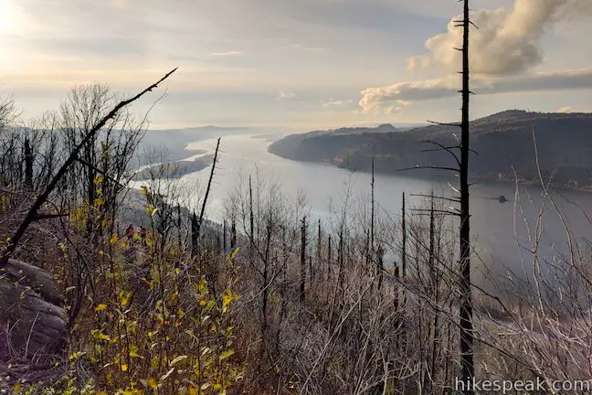 Angel's Rest Trail Wildfire damage view