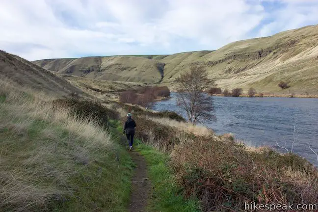 Deschutes River Hike