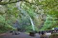 Horsetail Falls