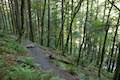 Horsetail Falls Trail