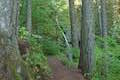 Horsetail Falls Trail