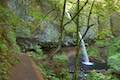 Horsetail Falls Trail