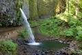 Ponytail Falls