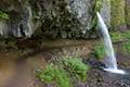 Ponytail Falls