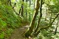 Horsetail Falls Trail