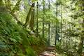 Horsetail Falls Trail