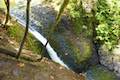 Oneonta Creek Cascade