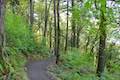 Oneonta Trail