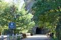 Oneonta Gorge