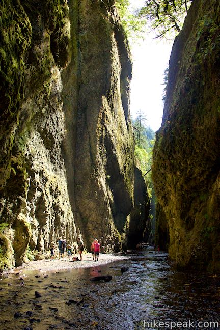 Oneonta Gorge