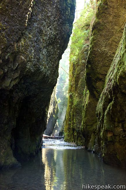 Oneonta Gorge